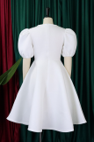 Elegant Solid Color Zipper O Neck Evening Dresses