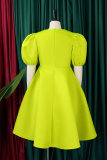 Elegant Solid Color Zipper O Neck Evening Dresses