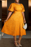 Casual Solid Color Jacquard Flower Shape O Neck Long Dresses