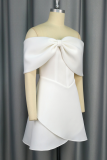 Casual Solid Color Backless Zipper Off Shoulder A Line Dresses