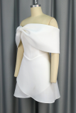 Casual Solid Color Backless Zipper Off Shoulder A Line Dresses