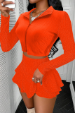 Sexy Solid Color Zipper Zipper Collar Long Sleeve Two Pieces