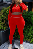 Casual Zipper Zipper Collar Long Sleeve Two Pieces