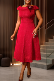Elegant Solid Color Feathers O Neck Long Dresses