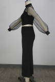 Elegant Solid Color See-Through Half A Turtleneck Long Sleeve Two Pieces