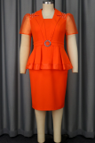Elegant Solid Color Flounce Turndown Collar Wrapped Skirt Plus Size Dresses