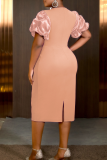 Elegant Solid Color Lace Zipper O Neck Plus Size Dresses