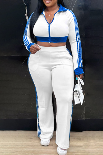 Casual Stripe Zipper Turndown Collar Long Sleeve Two Pieces