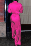 Casual Solid Color Buckle Turndown Collar Long Sleeve Two Pieces