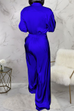 Casual Solid Color Buckle Turndown Collar Long Sleeve Two Pieces