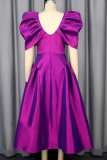 Elegant Solid Color Ruched V Neck Evening Dresses