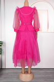 Elegant Solid Color With Belt Mesh O Neck A Line Plus Size Dresses