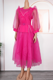 Elegant Solid Color With Belt Mesh O Neck A Line Plus Size Dresses