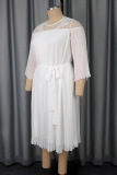 Elegant Solid Color Mesh O Neck A Line Dresses