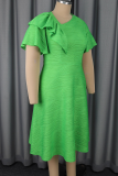 Casual Solid Color Flounce Asymmetrical Collar A Line Dresses