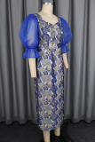 Elegant Print Mesh Contrast Asymmetrical Collar Long Dresses