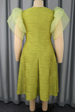 Elegant Solid Color Mesh O Neck Dresses
