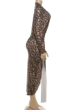 Sexy Leopard Print High Slit Deep V Neck Long Dresses