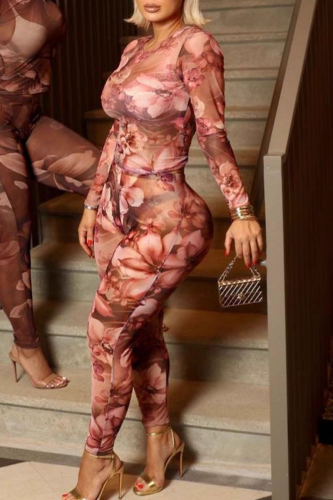 Sexy Print See-Through O Neck Long Sleeve Two Pieces