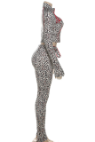 Casual Leopard Print Zipper Turndown Collar Long Sleeve Two Pieces