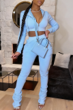 Casual Solid Color Zipper Hooded Long Sleeve Two Pieces