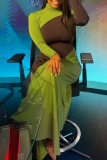 Elegant Solid Color Contrast Turtleneck Long Dresses