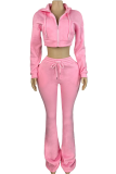 Casual Solid Color Zipper Hooded Long Sleeve Two Pieces