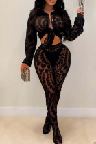 Casual Solid Color See-Through Turndown Collar Long Sleeve Two Pieces