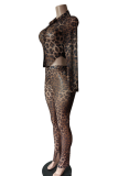 Sexy Leopard Print See-Through Deep V Neck Long Sleeve Two Pieces