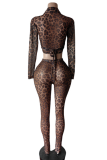 Sexy Leopard Print See-Through Deep V Neck Long Sleeve Two Pieces