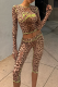 Casual Leopard Print Contrast O Neck Long Sleeve Two Pieces