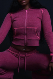 Casual Solid Color Zipper Hooded Long Sleeve Two Pieces