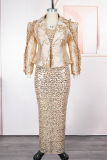 Elegant Solid Color Sequins Turn-back Collar Plus Size Dresses