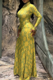 Printed Sheer Maxi Dress Turtleneck Long Sleeve Slim Fit Figure Flattering Dress