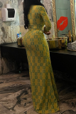 Printed Sheer Maxi Dress Turtleneck Long Sleeve Slim Fit Figure Flattering Dress