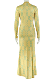 Printed Sheer Maxi Dress Turtleneck Long Sleeve Slim Fit Figure Flattering Dress