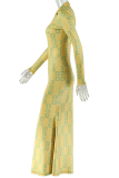 Printed Sheer Maxi Dress Turtleneck Long Sleeve Slim Fit Figure Flattering Dress