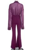 Sheer Tie Blouse Flared Pants Stylish Elegant Two-piece Set