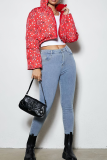 Paisley Reversible Cropped Puffer Jacket Stand-Collar Zip Coat
