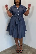 Casual Solid Color Turndown Collar A Line Dresses