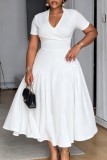Plus Size Formal Solid Color V Neck A Line Plus Size Dresses