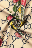 Sexy Elegant Print Letter Turndown Collar A Line Dresses