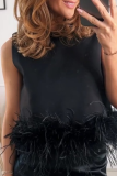 Casual Solid Feathers O Neck Tops