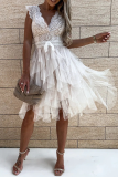 Fashion Solid Mesh V Neck Cake Skirt Dresses