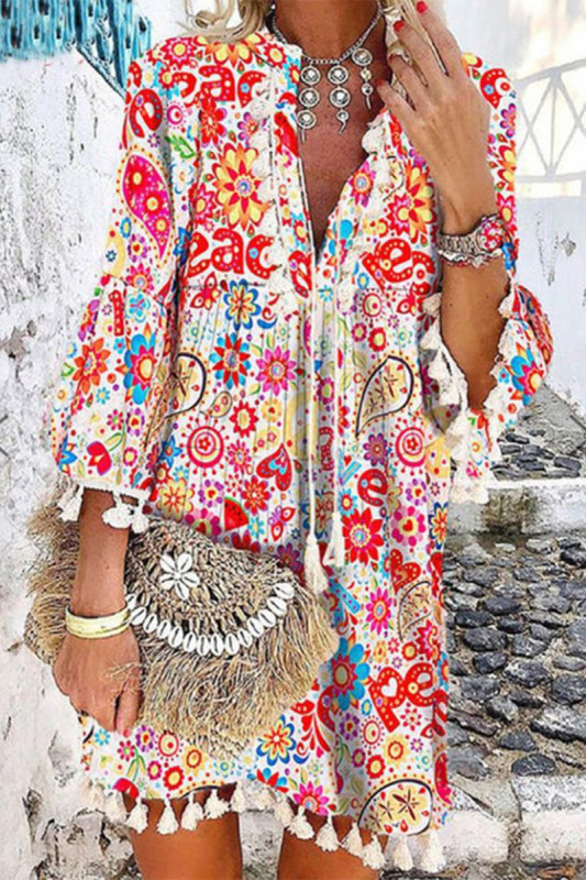 Casual Vacation Print Tassel V Neck A Line Dresses