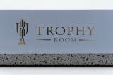 Air Jordan 5 Retro  Trophy Room  CI1899-400