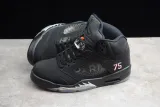 Jordan 5 Retro Paris Saint-Germain(SP Batch) AV9175-001