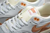 Nike Air Max 1 Patta Waves Monarch (without Bracelet)(SP batch) DH1348-001