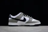 Nike Dunk Low Light Smoke Grey (W)(SP batch)DD1503-117
