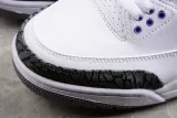 Jordan 3 Retro Dark Iris(SP Batch) CT8532-105
